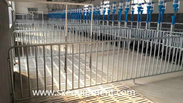 Pig Finishing Crate