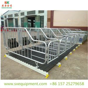 Pig Gestation Crate