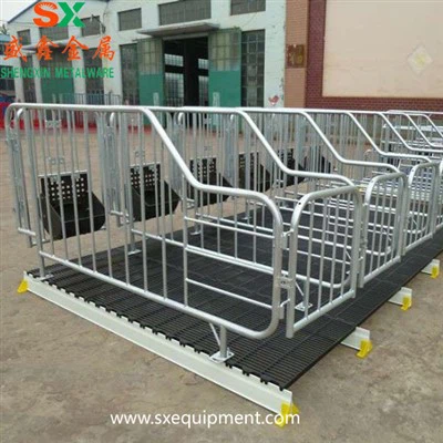 Sertés várandós istálló